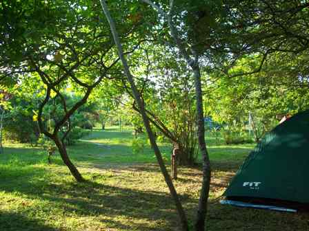 Camping